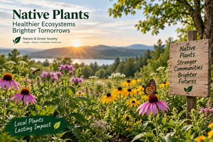 Powerful Benefits of Protecting Native Plants